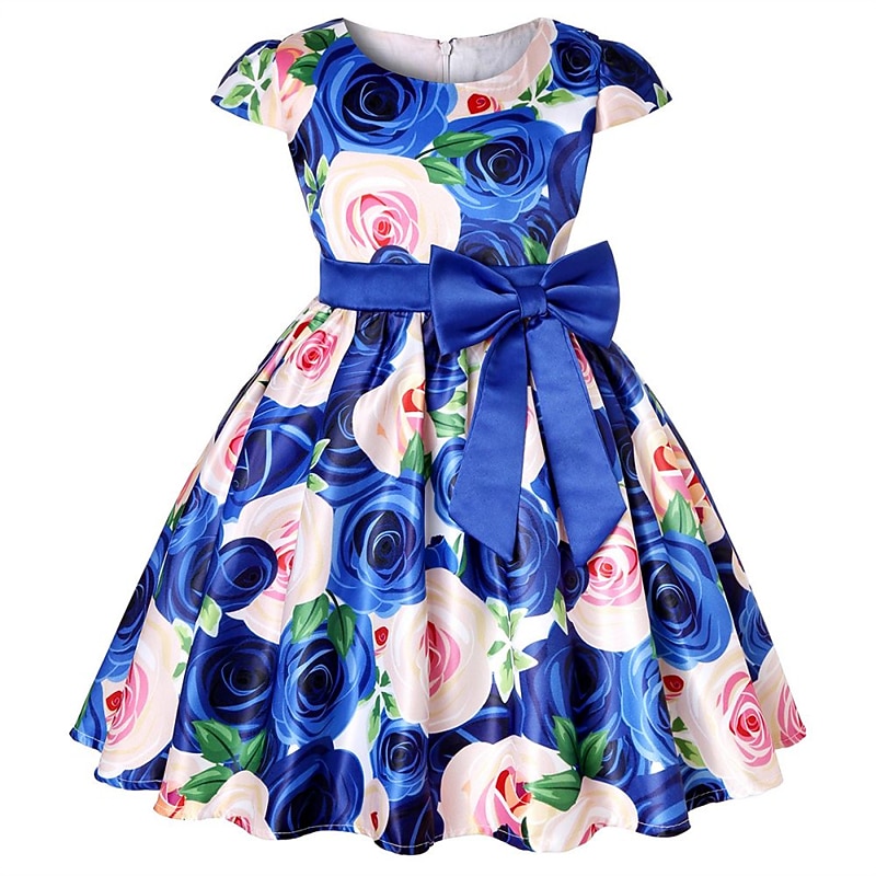 Kinder Mädchen Kleid Partykleid Blumen Blume Kurzarm Leistung Hochzeit Besonderer Anlass Gerafft Elegant Urlaub Mode Polyester Midi Partykleid Schwingkleid Skaterkleid Sommer Frühling 3-10 Jahre Wei 2026 - $36.99 –P13