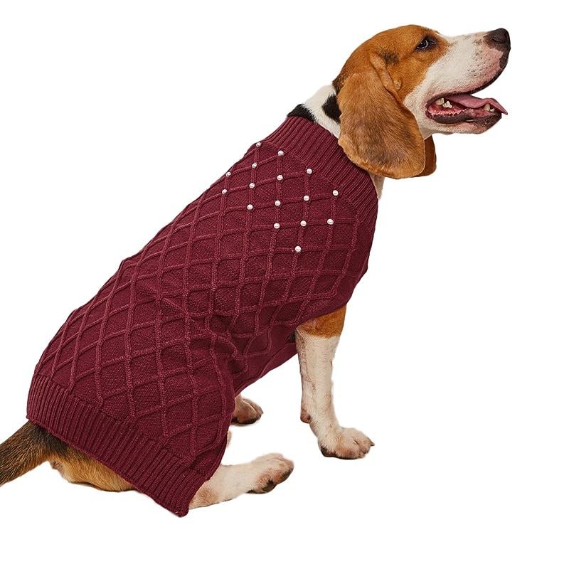 Cachorros Gatos Súeters Pulôver Moda Casual Inverno Respirável Macio Lavável Confortável Ao ar livre Casual / Diário Bichon Frise Pomerânia Animais de Pequeno Porte Borboleta de 2025 por $15.49 –P5