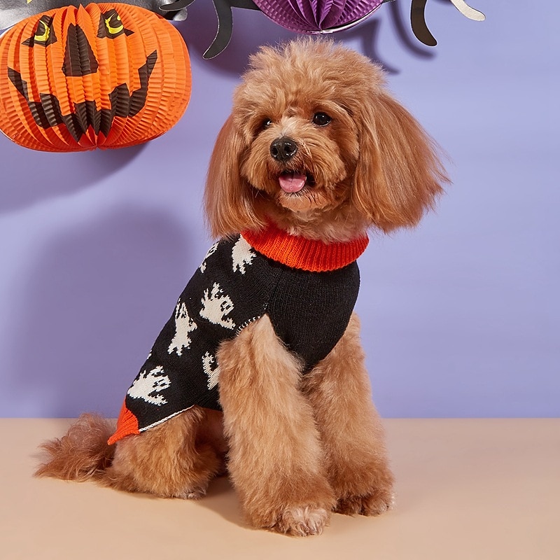 Câini Pisici Pulovere Jumper Misto Petrecere Iarnă Respirabil Απαλό Lavabil Comfortabil Halloween În aer liber Halloween Casul / Zilnic Îmbrăcăminte pentru câini for Bichon Frise Pomeran un Animalut 2025 - $27.99 –P8