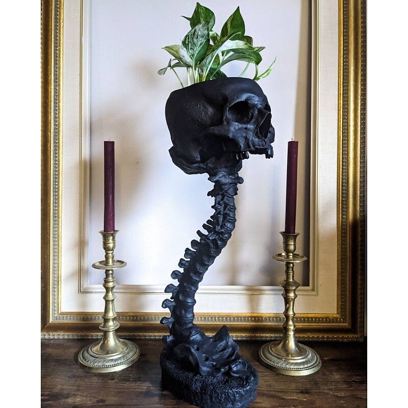 Halloween Skull Planter & Spine Stand, Resin Skull Head Flower Succulent Cactus Planter Pots,or Home Office Desk Decorations Halloween Scene Statue Sculpture Decorations 2025 - $26.99 –P5