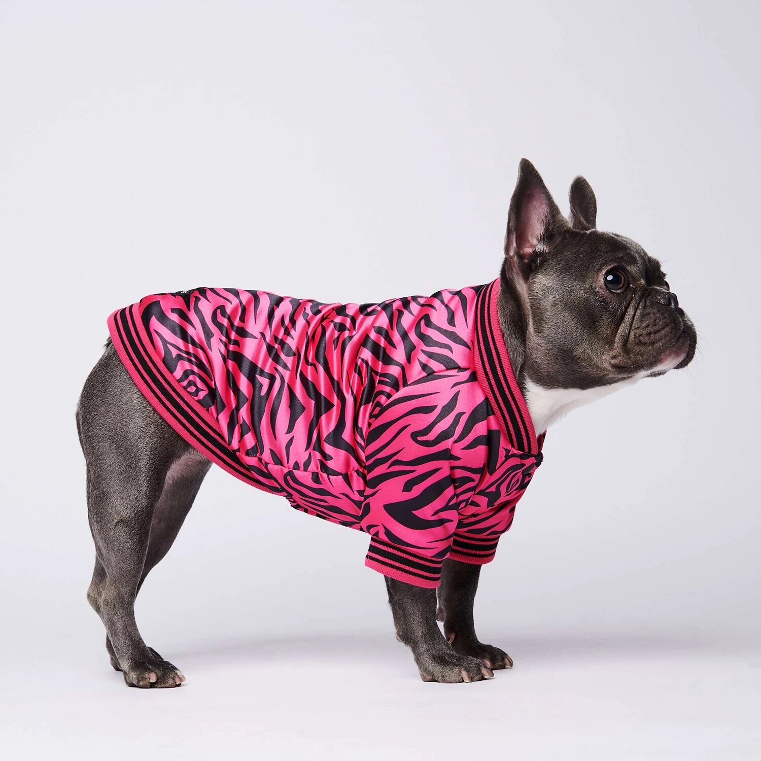 Hunder Katter Frakker Jakke Mote søt stil Vinter Varm Pustende Myk Vaskbar Bekvem utendørs Fritid / hverdag Hundeklær for Bichon Frisé Pommeran ungt kjæledyr Sommerfugl Small 2025 - $38.99 –P4