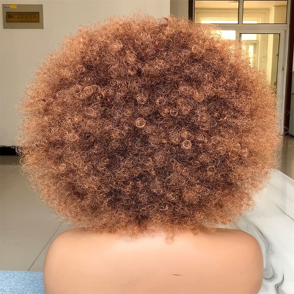 Short Afro Wig with Bangs for Black Women Afro Kinky Curly Wig 70s Premium Synthetic Big Afro Wig 2025 - $20.99 –P17