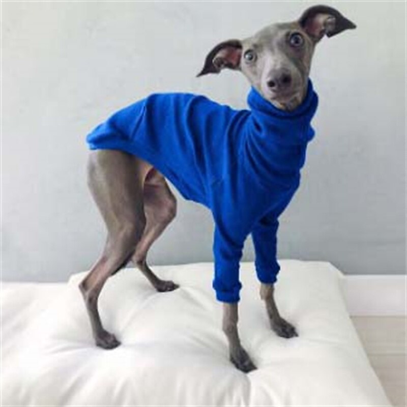 Dog Cat Shirt / T-Shirt Fashion Cute Breathable Soft Washable Comfortable Outdoor Casual Daily Dog Clothing for Bichon Frise Pomeranian Baby Pet Papillon Small 2025 - $25.99 –P6