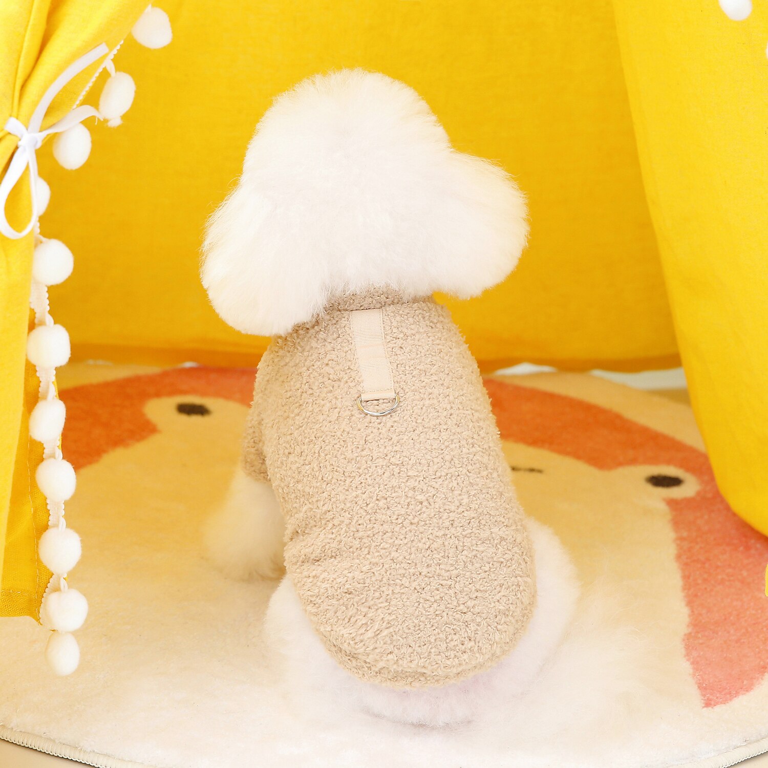 Câini Pisici Haine Σακάκι Modă Casual Iarnă Impermeabil Respirabil Απαλό Lavabil Comfortabil Casul / Zilnic Îmbrăcăminte pentru câini for Bichon Frise Pomeran un Animalut Fluture Small 2025 - $20.99 –P3