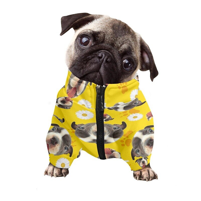Perros Gatos Sudadera Moda Casual Invierno Impermeable Transpirable Suave Lavable Cómodo Casual Diario Ropa para perros for Bichón Frisé Pomerania Animal doméstico del bebé Mariposa Small 2025 - $26.99 –P3