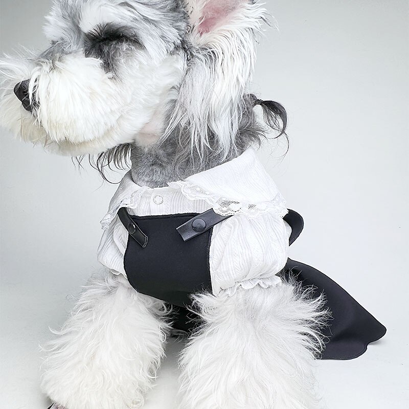 Addams Family Costume Dogs 