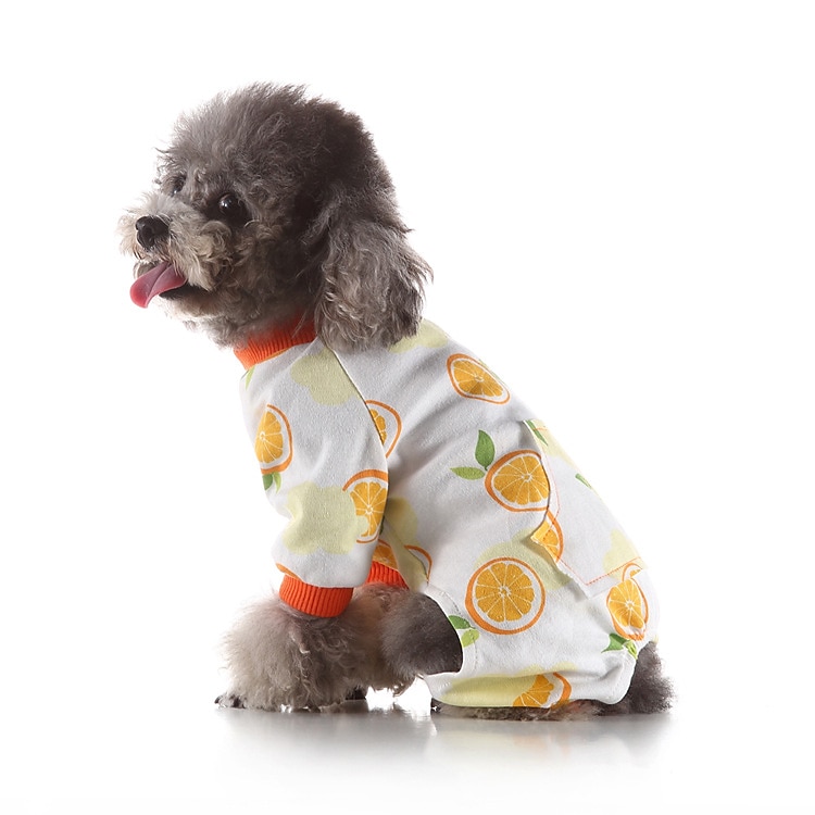 Hunder Katter Pyjamas søt stil Fritid Vinter Vanntett Pustende Myk Vaskbar Bekvem Fritid / hverdag Hundeklær for Bichon Frisé Pommeran ungt kjæledyr Sommerfugl Small 2025 - $26.99 –P2