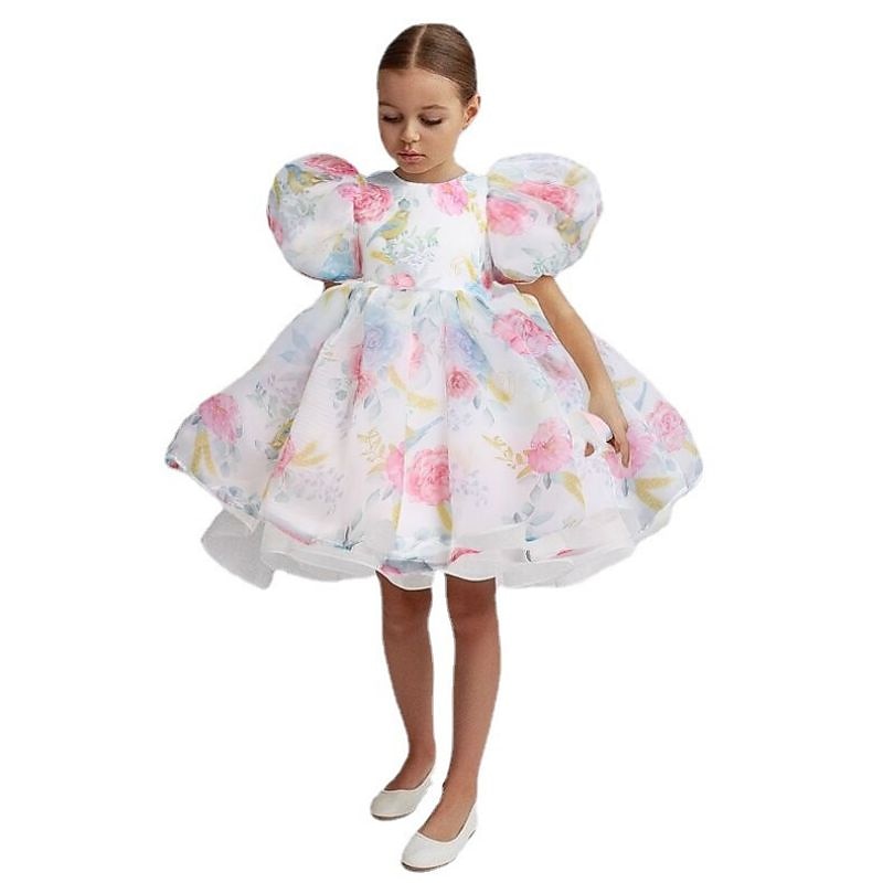 kinderkleidung Mädchen Blumenmädchen Kleid Party Kleid Feste Farbe Graphic Kurzarm Leistung Hochzeit Party Modisch bezaubernd Täglich Baumwolle abendkleider Frühling Herbst 2-8 Jahre Weiß Elfenbein 2025 - $33.99 –P13