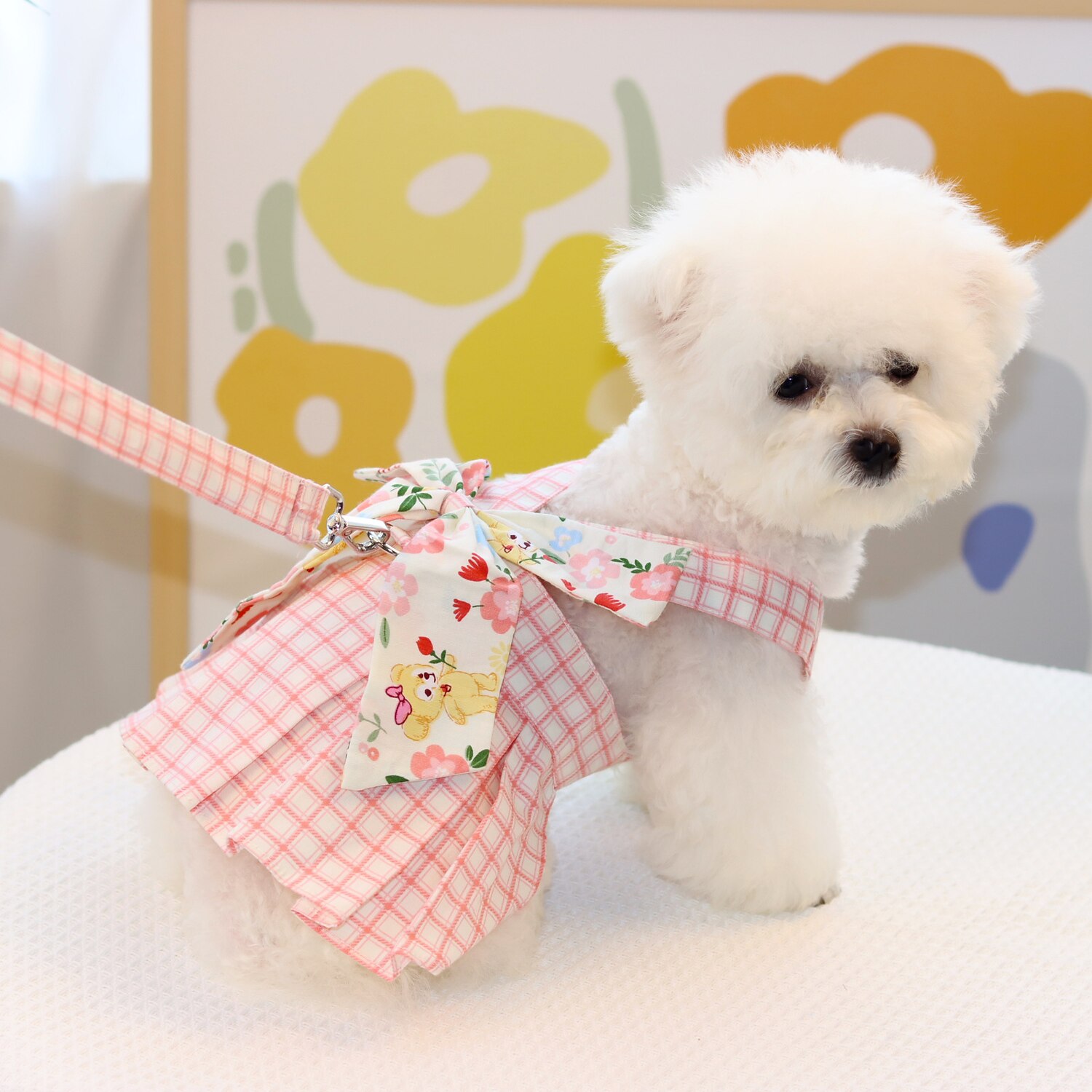 Hund Katt Klänningar söt stil Ledigt Vattentät Andningsfunktion Mjuk Tvättbar Bekväm Ledigt / vardag Hundkläder for Bichon Frisé Pommeran valpen eller det lilla husdjuret Fjäril Small 2025 - $23.99 –P3