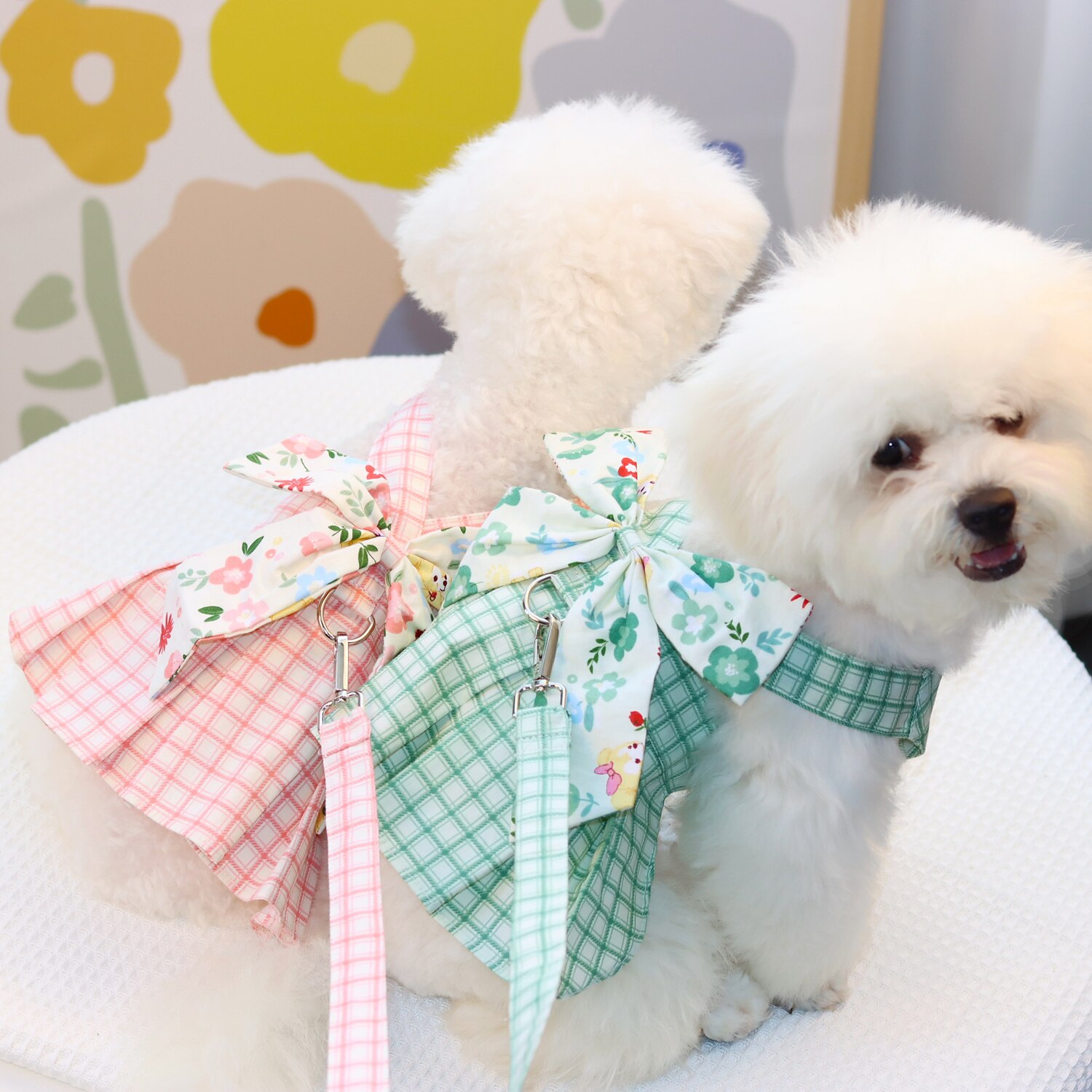 Hund Katt Klänningar söt stil Ledigt Vattentät Andningsfunktion Mjuk Tvättbar Bekväm Ledigt / vardag Hundkläder for Bichon Frisé Pommeran valpen eller det lilla husdjuret Fjäril Small 2025 - $23.99 –P1