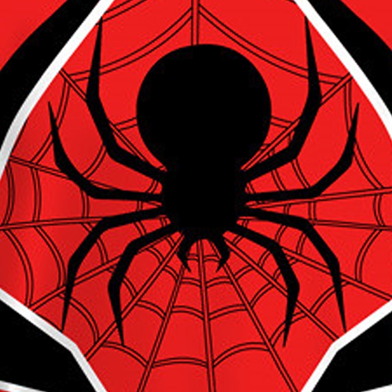 Pojkar 3D SPIDER Sweatshirt & Sweatpants Set Set Långärmad 3d-utskrivning Höst Vinter Aktiv Mode Häftig Barn 3-12 år Rund hals Utomhus Semester Gata Normal 2025 - $23.99 –P11