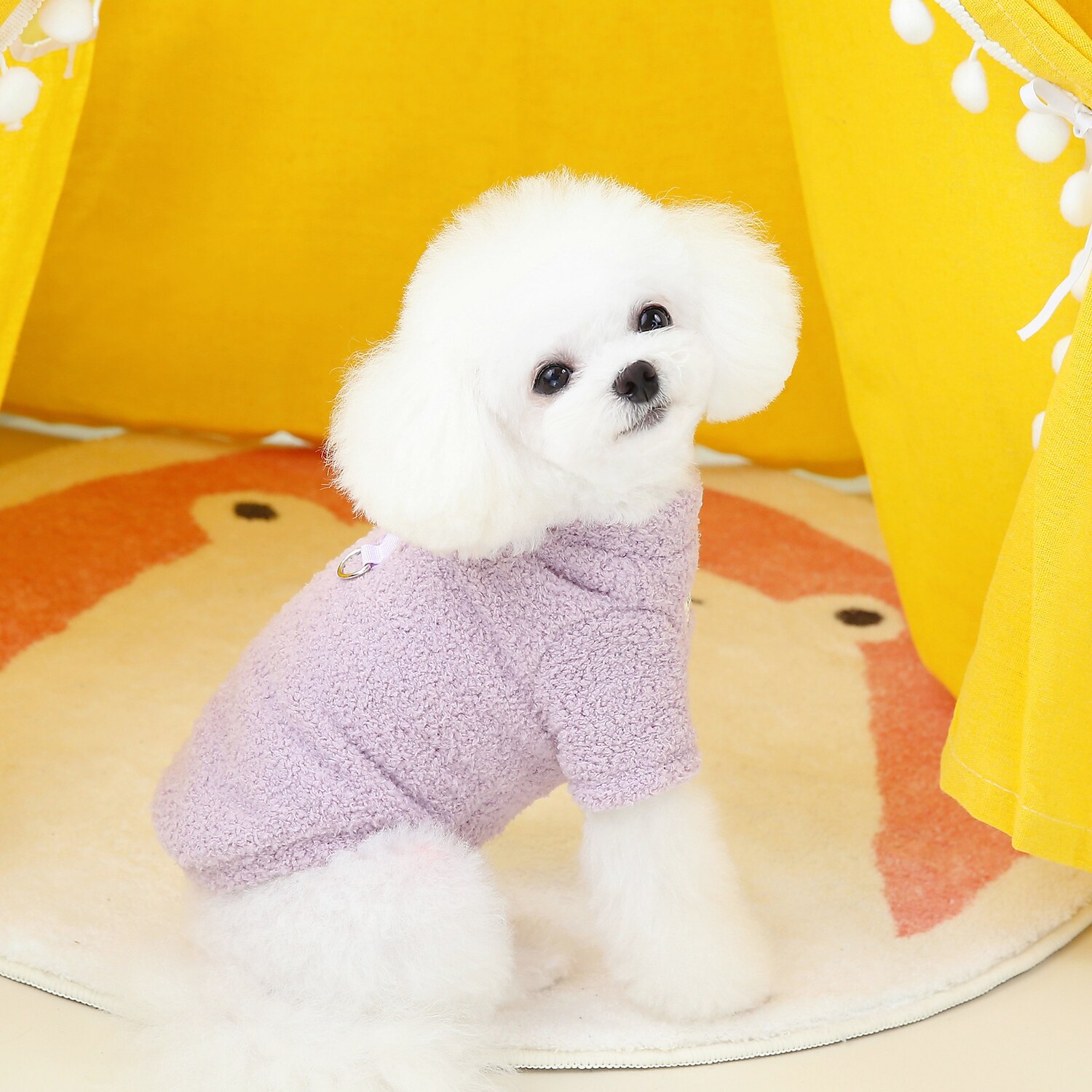 Câini Pisici Haine Σακάκι Modă Casual Iarnă Impermeabil Respirabil Απαλό Lavabil Comfortabil Casul / Zilnic Îmbrăcăminte pentru câini for Bichon Frise Pomeran un Animalut Fluture Small 2025 - $20.99 –P8