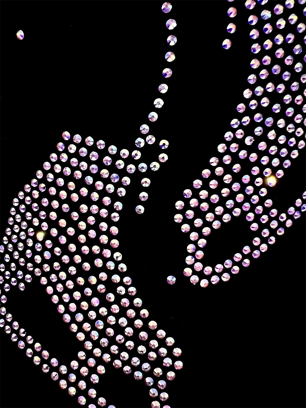 Fleecetakki taitoluisteluun Naisten Tyttöjen Luistimet Takki Topit Musta Pinkki Sininen Elastinen Kouluts Kilpailu Luisteluasu Pidä lämpimänä Kristalli / Strassi Pitkähihainen Luistelu Taitoluistelu 2026 - $67.99 –P2