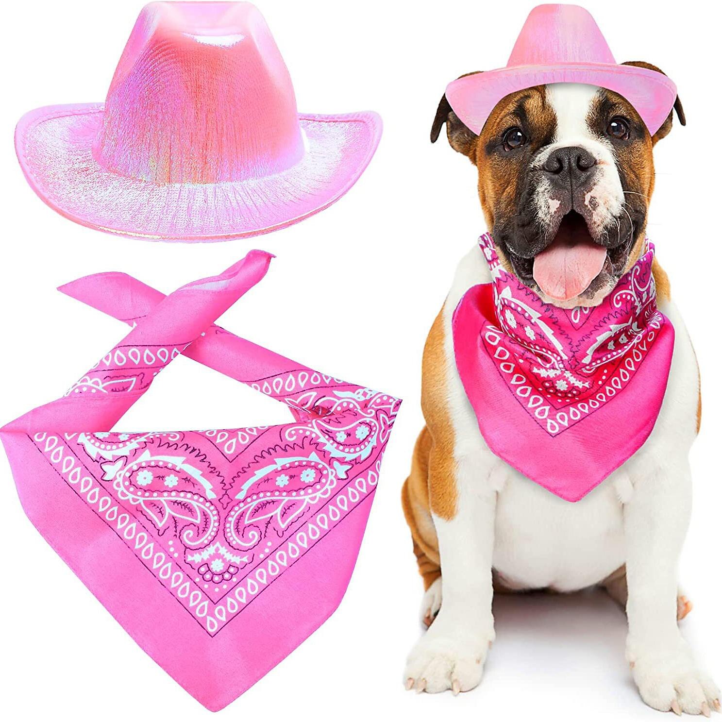 Koirat Kissat Koiran huivi / koiran hattu Koiran syntymäpäivä Bandana-hattu Muoti Vapaa-aika Talvi Vedenkestävä Hengittävä Pehmeä Pestävä Mukava Rento / arki Koiran vaatteet for Bichon Frise 2025 - $23.99 -P2