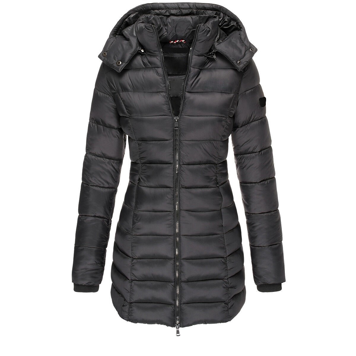 Dames Gewatteerd sportjack Wandelwindjack Winter Buitenshuis Geïsoleerd Thermisch Warm waterdicht Winddicht Overkleding Windjacks Kleding Bovenlichaam Gehele Lengte Zichtbare Rits Vissen Klimmen 2025 - $41.99 -P5