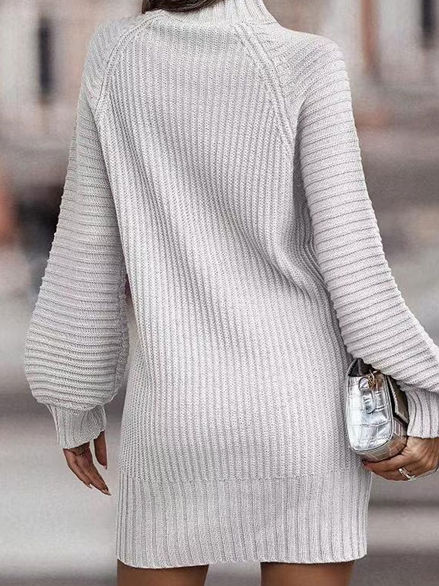 Women's Sweater Dress Winter Dress Jumper Dress Mini Dress Ribbed Daily Date Vacation Active Fashion Turtleneck Long Sleeve 2023 Loose Fit Black White Wine Color S M L XL Size 2023 - US $33.99 –P13