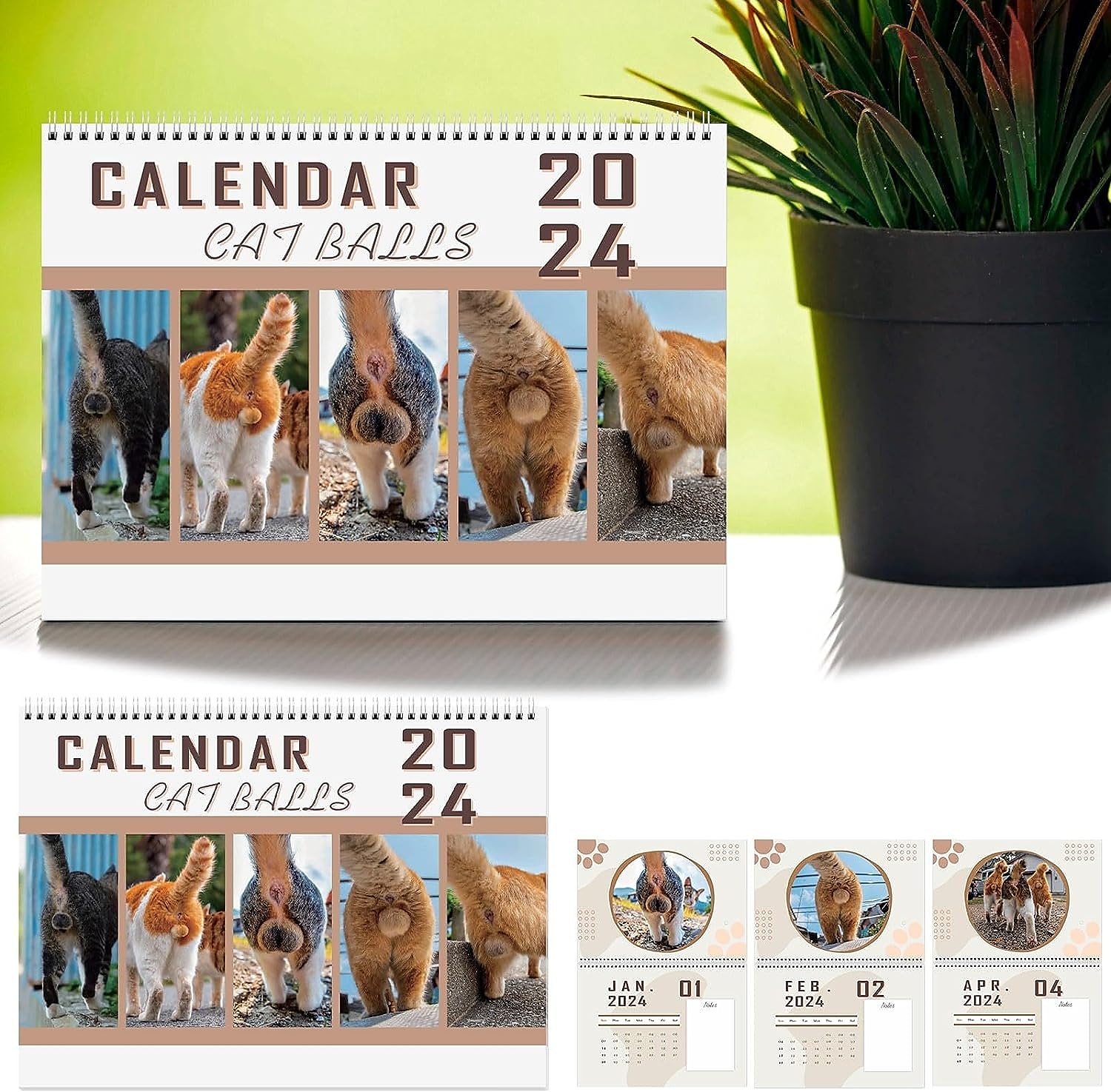 Calendrier de Trou de Chat 2024, Calendrier de Boules de Chat 25 X