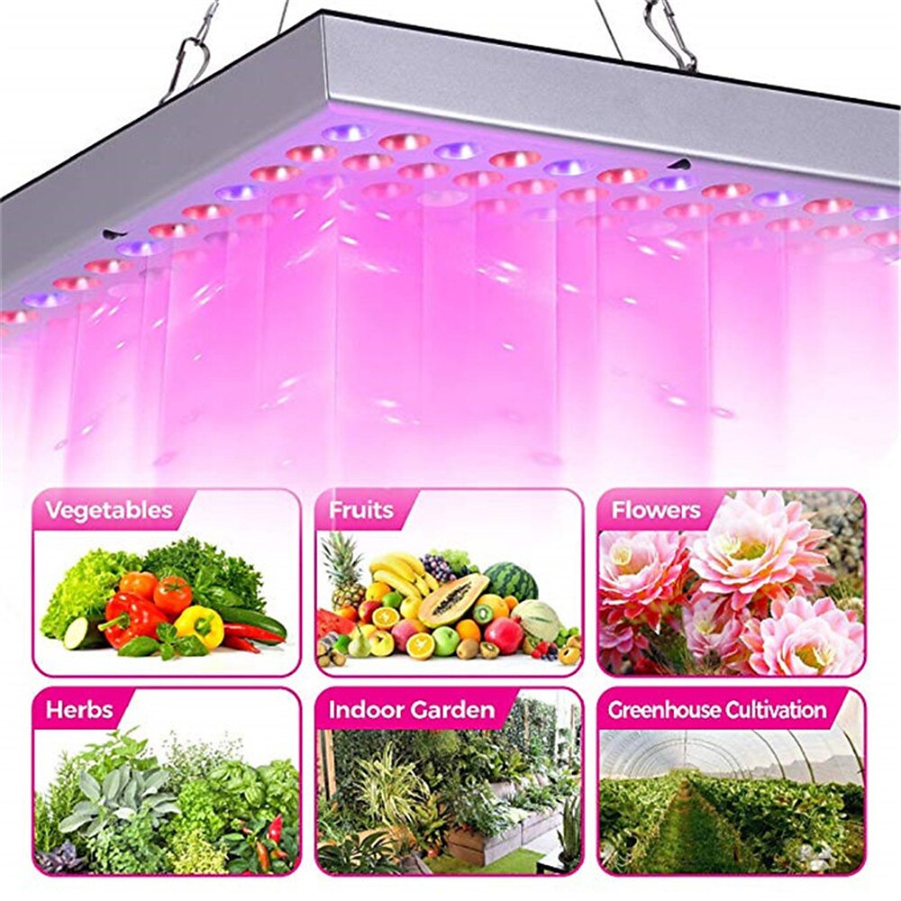 Panneau lumineux de croissance à LED à spectre complet - lumière noire rouge, bleue, blanche, IR, UV pour plantes d'intérieur et culture hydroponique de 2025 ? $32.99 –P4