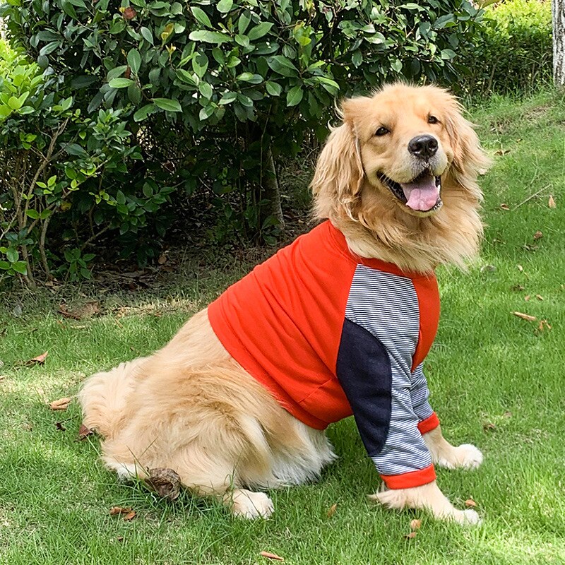 Dog Cat Shirt / T-Shirt Party Funny Breathable Soft Washable Comfortable Casual Daily Dog Clothing for Bichon Frise Pomeranian Baby Pet Papillon Small 2025 - $22.99 –P6