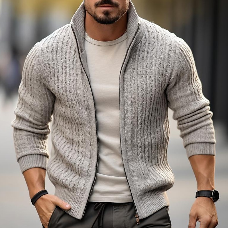 Hombre Pulóveres Chaqueta de Punto Cárdigan Jersey con cremallera Suéter recortado Estriado Tejer Regular De Punto Plano Escote Chino Calentadores Contemporáneo moderno Ropa Cotidiana Noche Ropa 2026 - $38.99 –P1