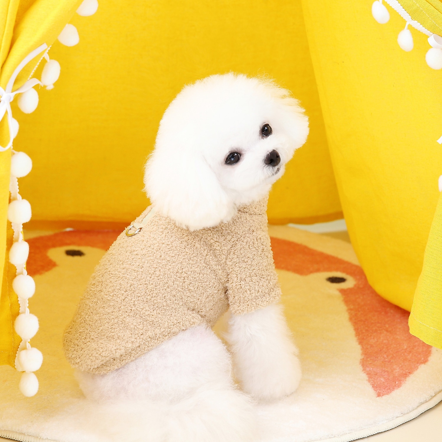 Câini Pisici Haine Σακάκι Modă Casual Iarnă Impermeabil Respirabil Απαλό Lavabil Comfortabil Casul / Zilnic Îmbrăcăminte pentru câini for Bichon Frise Pomeran un Animalut Fluture Small 2025 - $20.99 –P4