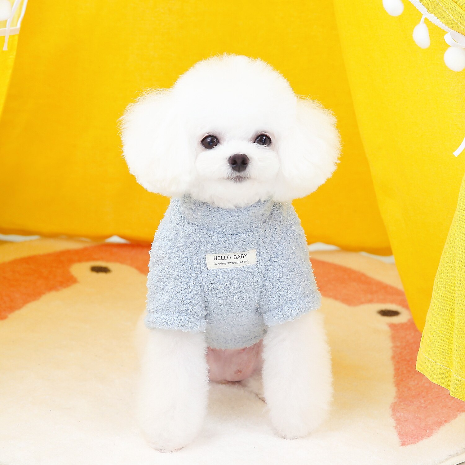 Câini Pisici Haine Σακάκι Modă Casual Iarnă Impermeabil Respirabil Απαλό Lavabil Comfortabil Casul / Zilnic Îmbrăcăminte pentru câini for Bichon Frise Pomeran un Animalut Fluture Small 2025 - $20.99 –P6