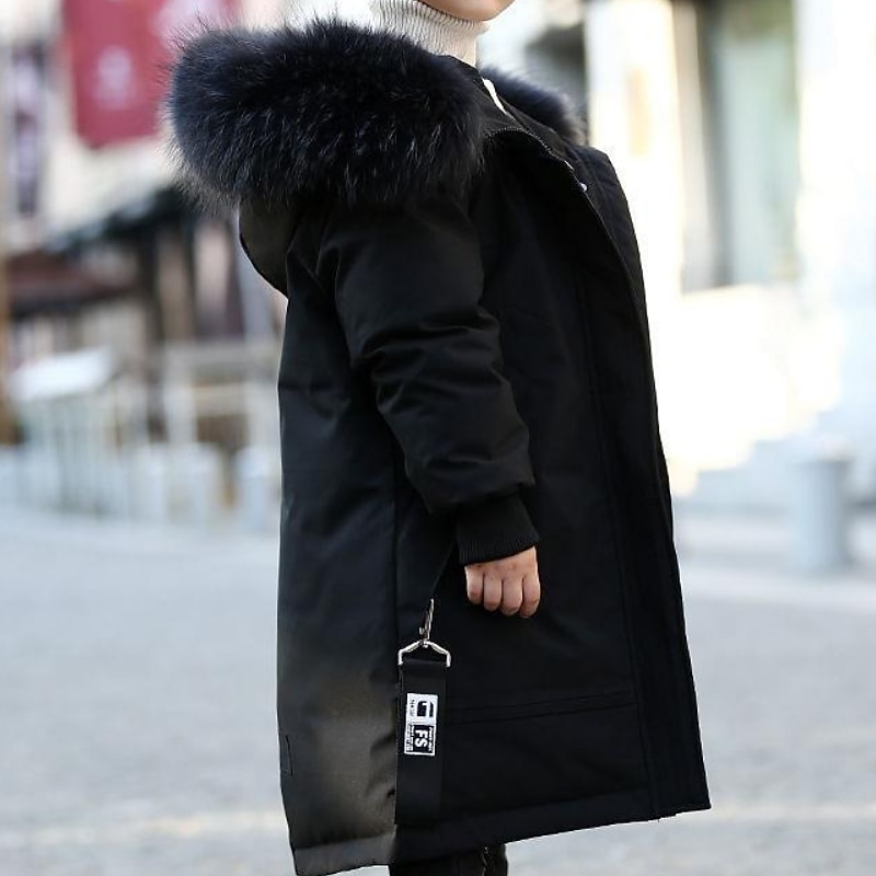 Barn Pojkar Fleece-jacka Hoodiejacka Ytterkläder Ensfärgat Långärmad Dragkedja Täcka Ledigt Förtjusande Dagligen Svart Grön Vår Höst 7-13 år 2025 - $48.99 –P5
