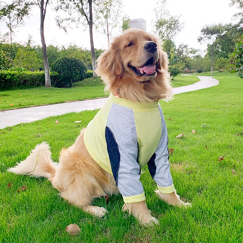 Dog Cat Shirt / T-Shirt Party Funny Breathable Soft Washable Comfortable Casual Daily Dog Clothing for Bichon Frise Pomeranian Baby Pet Papillon Small 2025 - $22.99 –P5