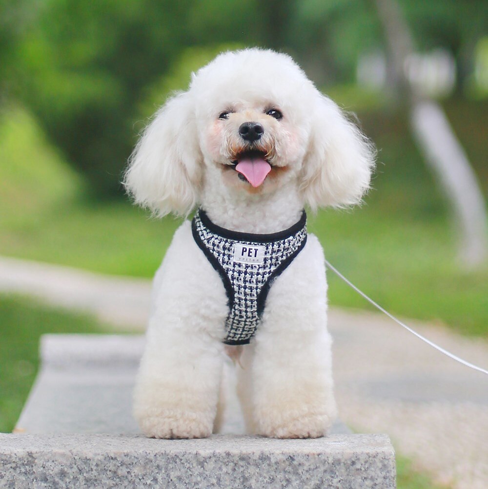 Cachorros Gatos Arreios Trela de treinamento Ajustável Portátil Durável Ao ar livre Caminhada de 2025 por $19.99 –P2