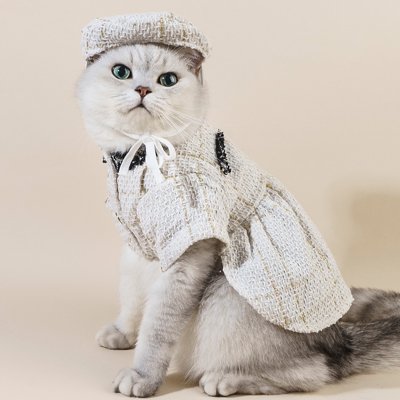 Hunder Katter Frakker Jakke Mote søt stil Vinter Myk Vaskbar Bekvem utendørs Feriereise Bursdag Hundeklær for Bichon Frisé Puddel Pommeran ungt kjæledyr Sommerfugl 2025 - $26.99 –P1
