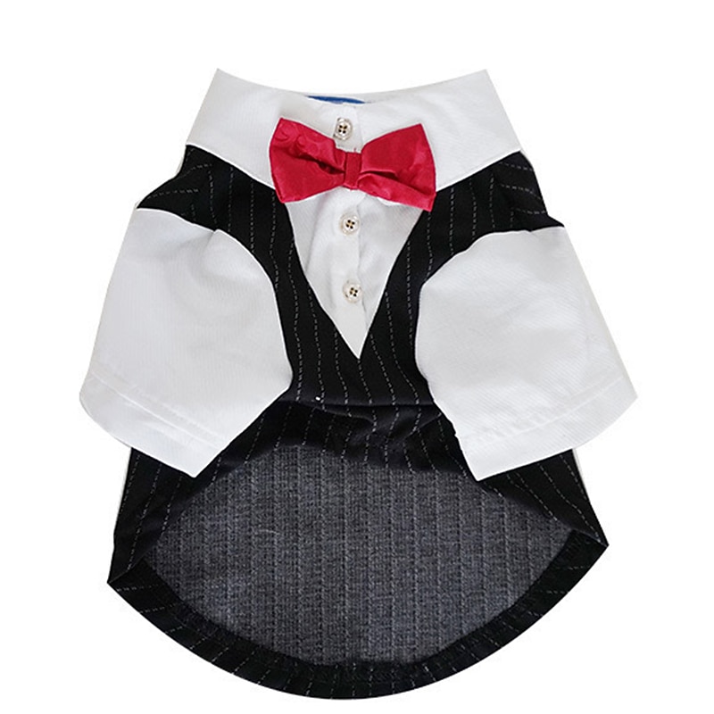 Prodotti per cani Prodotti per gatti Tuta Di tendenza stile sveglio Inverno Morbido Lavabile Comodo Matrimonio Esterno Feste Compleanno Ricevimento di matrimonio Abbigliamento per cani for Bichon del 2026 a $31.99 –P4