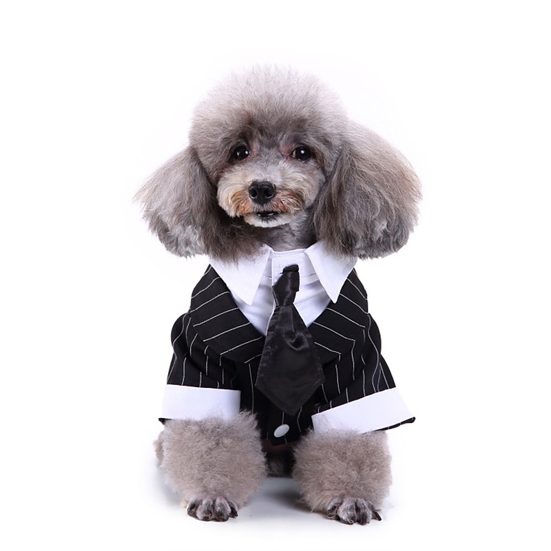 Dog Cat Suit Fashion Cute Winter Soft Washable Comfortable Wedding Outdoor Party Birthday Wedding Party Dog Clothing for Bichon Frise Poodle Pomeranian Baby Pet Papillon 2025 - $26.99 –P5