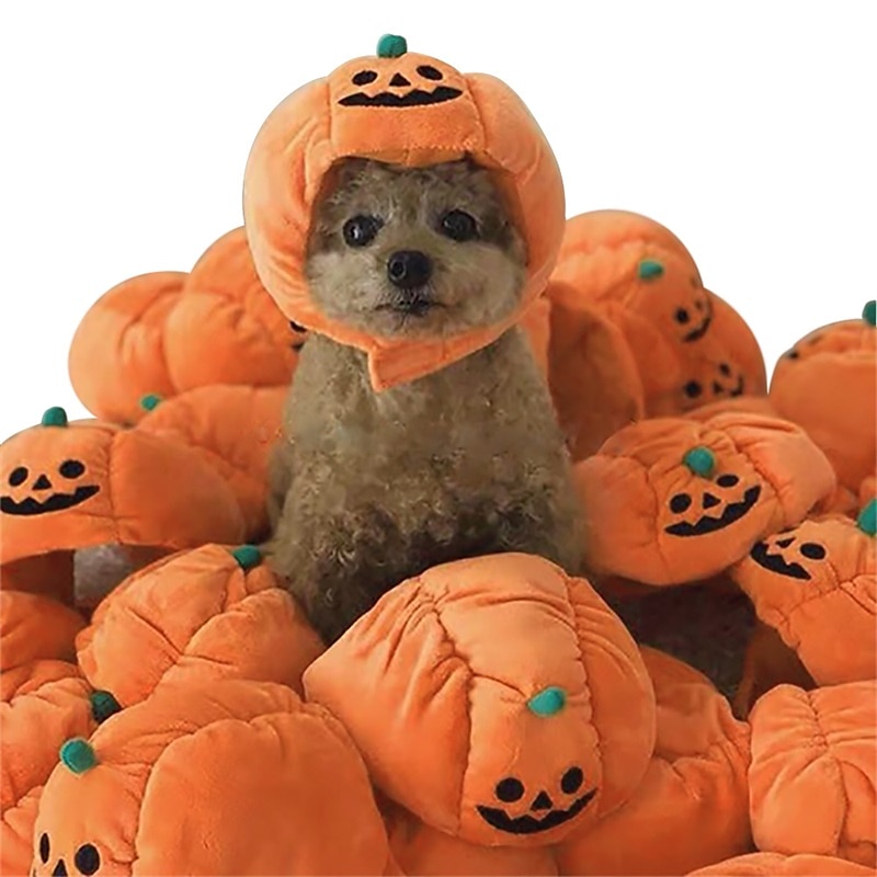Câini Pisici Bandană Câine & Căciulă Câine Petrecere Amuzant Iarnă Respirabil Απαλό Lavabil Comfortabil Petrecere Halloween Casul / Zilnic Festival Îmbrăcăminte pentru câini for Bichon Frise Pomeran 2025 - $18.99 –P12