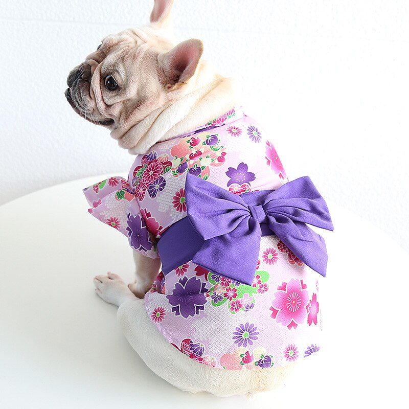 Cane Gatto Vestito Moda Carino Inverno Morbido Lavabile Confortevole All'aperto Casual Quotidiano Abbigliamento per Cani for Bichon Frisé Barboncino Volpino di Pomerania Cucciolo Papillon del 2025 a AU $39.59 –P11