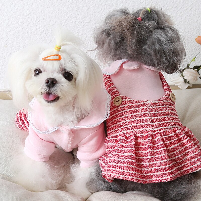 Cachorros Gatos Vestidos Moda Estilo bonito Inverno Macio Lavável Confortável Ao ar livre Casual / Diário Roupas para cães for Bichon Frise Poodle Pomerânia Animais de Pequeno Porte Borboleta de 2025 por $27.99 –P1