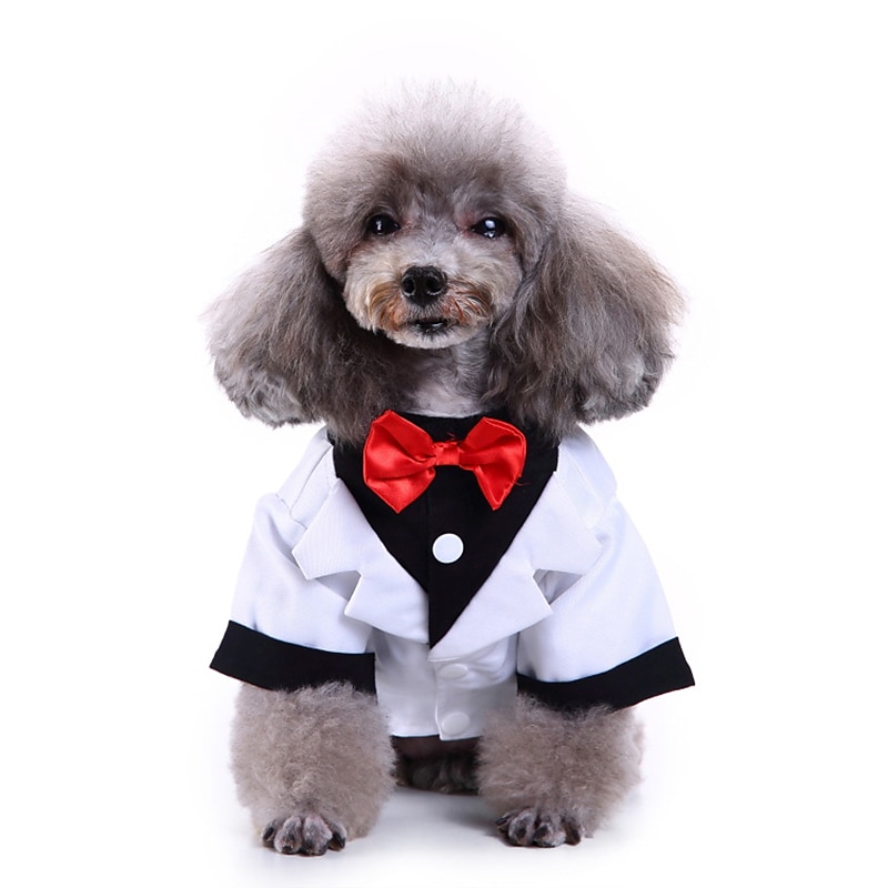 Dog Cat Suit Fashion Cute Winter Soft Washable Comfortable Wedding Outdoor Party Birthday Wedding Party Dog Clothing for Bichon Frise Poodle Pomeranian Baby Pet Papillon 2025 - $26.99 –P1