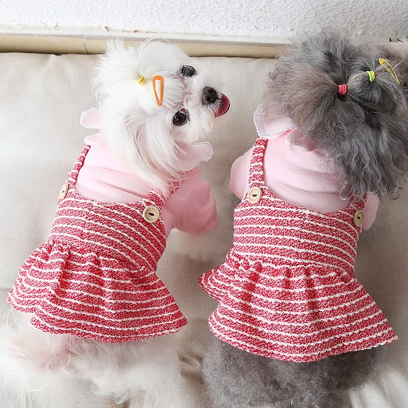 Cachorros Gatos Vestidos Moda Estilo bonito Inverno Macio Lavável Confortável Ao ar livre Casual / Diário Roupas para cães for Bichon Frise Poodle Pomerânia Animais de Pequeno Porte Borboleta de 2025 por $27.99 –P3