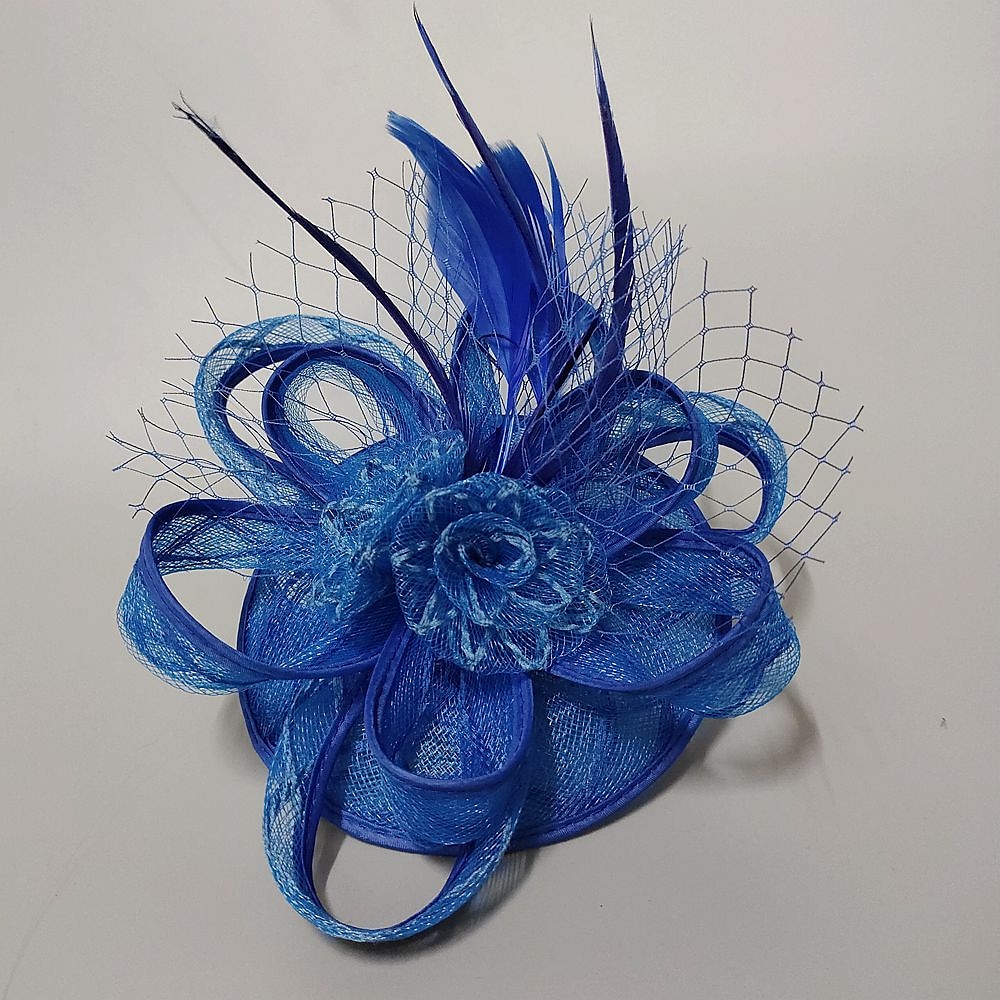 פאסצינאטורים כובעים תכשיט ראש נוצות Netz כובע אף פנים חתונה מירוץ סוסים ביום נשים גביע מלבורן קוקטייל עם כובע נוצה תכשיט ראש מסלול להתלבש להרשים שמלת יום מירוץ 2025 - $14.99 –P2