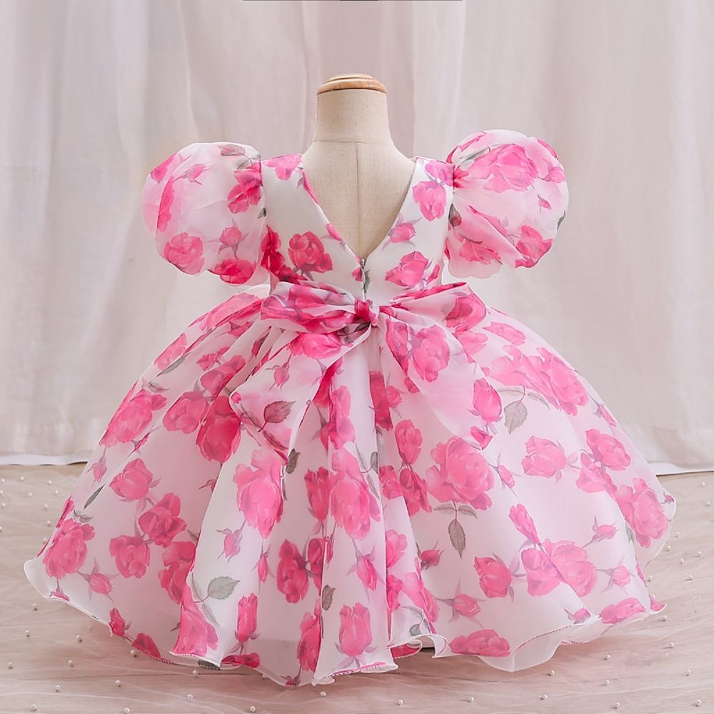 Tout-petit Fille Robe de Soirée Graphique Manche Courte Mariage Mignon Polyester Mi-long Été 3-7 Ans Multicouleur Rouge Vert de 2025 ? $38.99 –P4