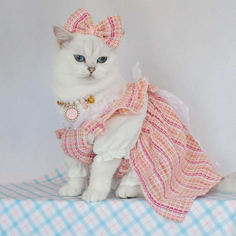 Cachorros Gatos Vestidos Camisetas Moda Estilo bonito Inverno Macio Lavável Confortável Ao ar livre Festa Casual / Diário Roupas para cães for Bichon Frise Poodle Pomerânia Animais de Pequeno Porte de 2025 por $27.99 –P5
