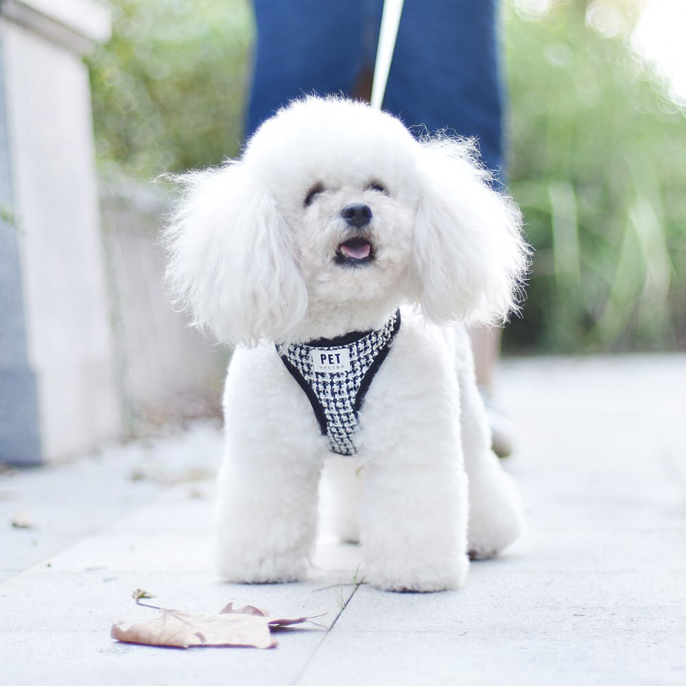 Cachorros Gatos Arreios Trela de treinamento Ajustável Portátil Durável Ao ar livre Caminhada de 2025 por $19.99 –P4