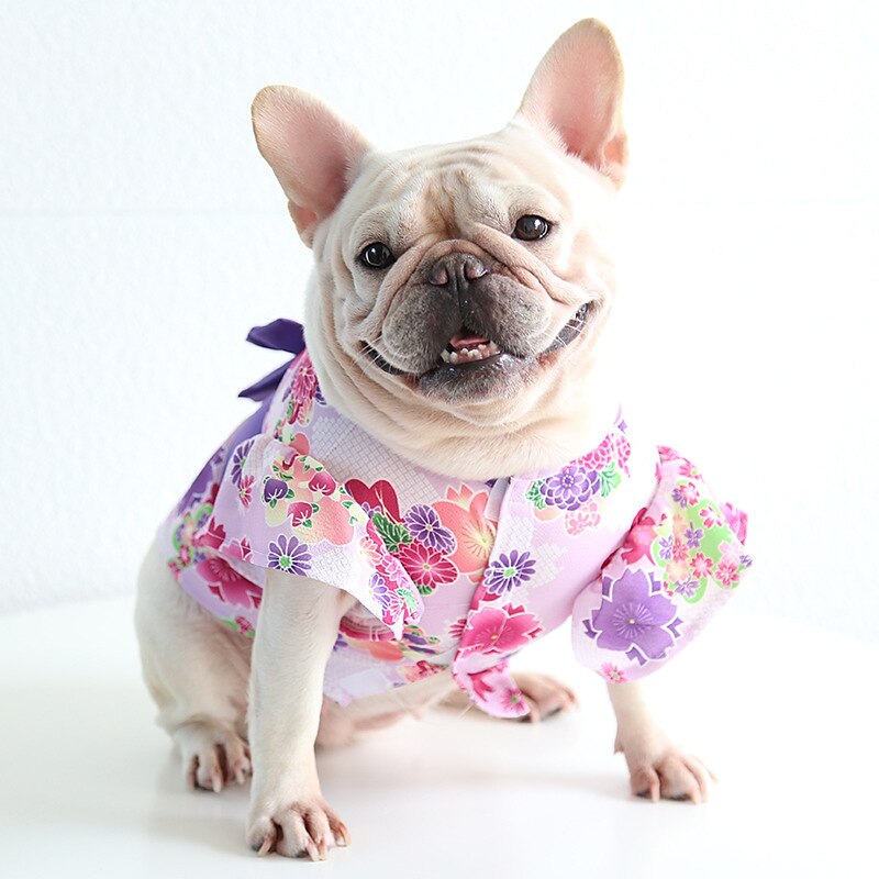 Cane Gatto Vestito Moda Carino Inverno Morbido Lavabile Confortevole All'aperto Casual Quotidiano Abbigliamento per Cani for Bichon Frisé Barboncino Volpino di Pomerania Cucciolo Papillon del 2025 a AU $39.59 –P8