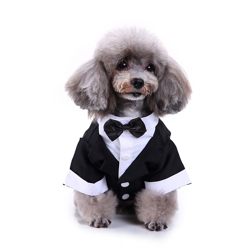 Dog Cat Suit Fashion Cute Winter Soft Washable Comfortable Wedding Outdoor Party Birthday Wedding Party Dog Clothing for Bichon Frise Poodle Pomeranian Baby Pet Papillon 2025 - $26.99 –P2