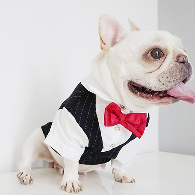 Prodotti per cani Prodotti per gatti Tuta Di tendenza stile sveglio Inverno Morbido Lavabile Comodo Matrimonio Esterno Feste Compleanno Ricevimento di matrimonio Abbigliamento per cani for Bichon del 2026 a $31.99 –P8
