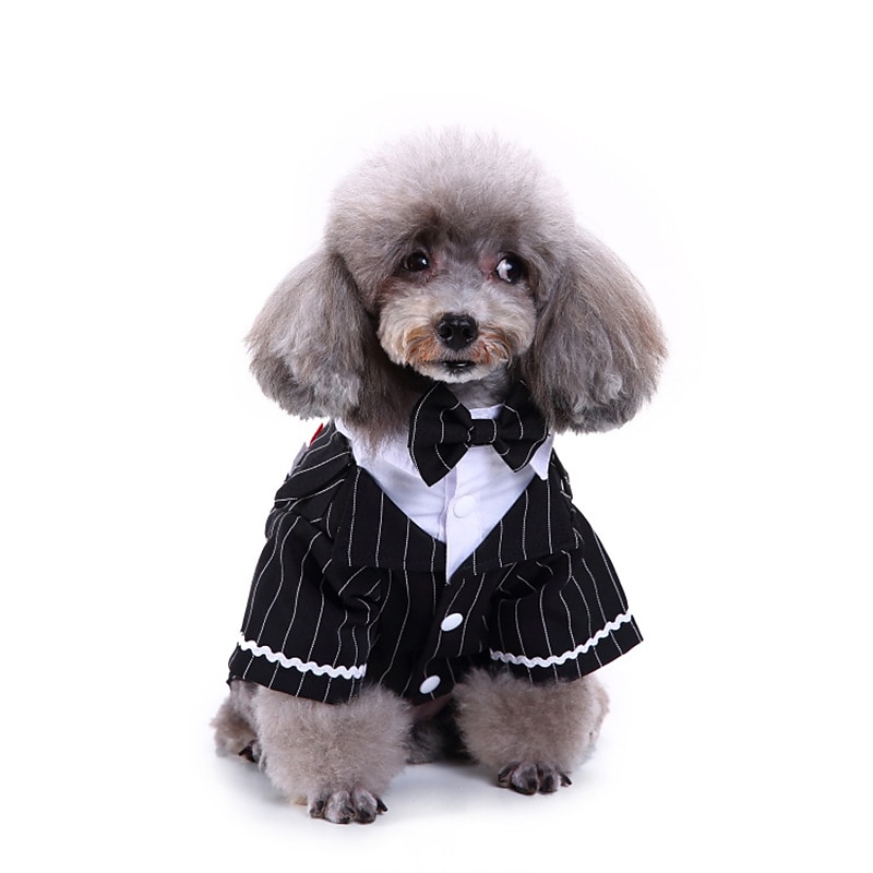 Dog Cat Suit Fashion Cute Winter Soft Washable Comfortable Wedding Outdoor Party Birthday Wedding Party Dog Clothing for Bichon Frise Poodle Pomeranian Baby Pet Papillon 2025 - $26.99 –P4