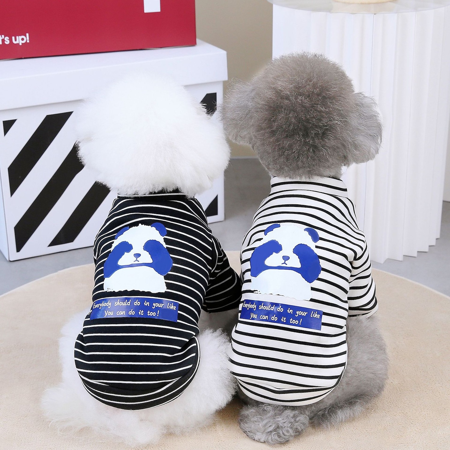 Câini Pisici Hanorca Drăguţ Casual Iarnă Respirabil Απαλό Lavabil Comfortabil În aer liber Casul / Zilnic Îmbrăcăminte pentru câini for Bichon Frise Pomeran un Animalut Fluture Small 2025 - $23.99 –P2