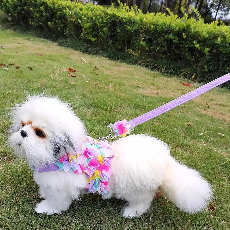 2025年 犬用 猫用 ハーネス リード ファッション パーティー 高通気性 洗濯可 快適 クリスマス クリスマス アウトドア カジュアル/普段着 犬服 for ビジョンフリーゼ ポメラニアン 赤ちゃんサイズ パピヨン Small コレクション – $18.99 –P1