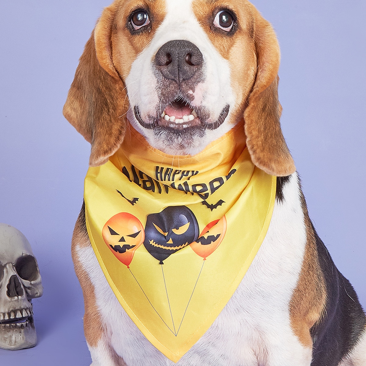 Cachorros Gatos Bandana de Cachorro Acessórios para babadores triângulo Moda Engraçado Respirável Macio Lavável Confortável Festa dia das Bruxas De Cama Casual / Diário Festival Roupas para cães for  de 2025 por $17.49 –P1