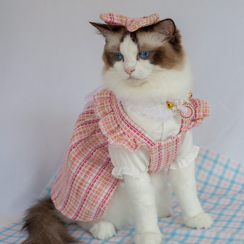 Cachorros Gatos Vestidos Camisetas Moda Estilo bonito Inverno Macio Lavável Confortável Ao ar livre Festa Casual / Diário Roupas para cães for Bichon Frise Poodle Pomerânia Animais de Pequeno Porte de 2025 por $27.99 –P3
