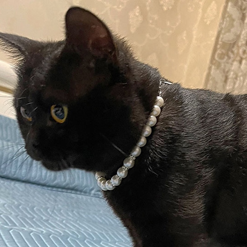 Chien Chat Petits Animaux à Fourrure Collier Ajustable Portable Mignon et câlin Extérieur Marche de 2026 ? $20.99 –P9